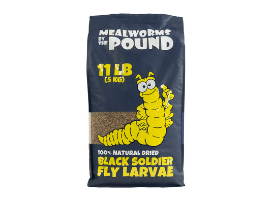 Dried Black Soldier Fly Larvae - 11 LB