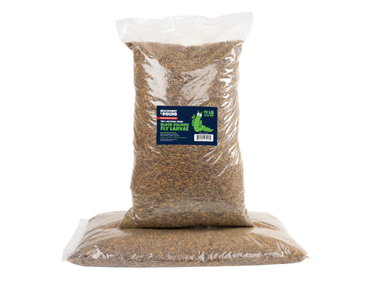 North American Dried Black Soldier Fly Larvae - 22 LB