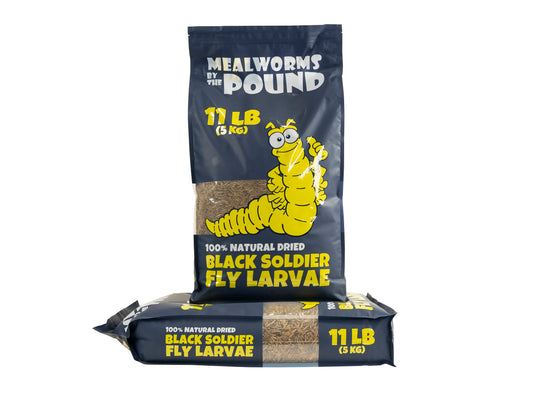 Dried Black Soldier Fly Larvae - 22 LB