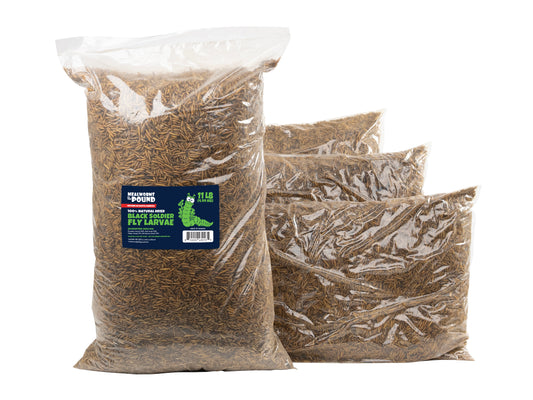 North American Dried Black Soldier Fly Larvae - 44 LB