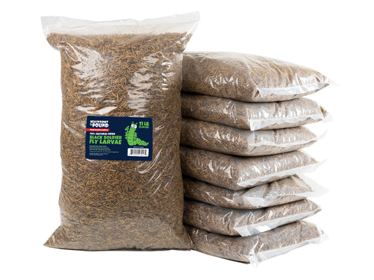 North American Dried Black Soldier Fly Larvae - 88 LB