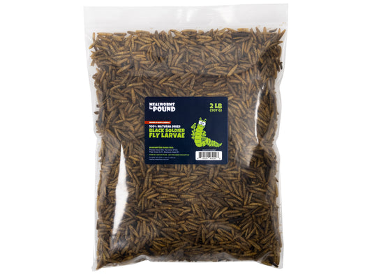 North American Dried Black Soldier Fly Larvae - 2 LB