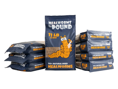 Dried Mealworms - 88 LB
