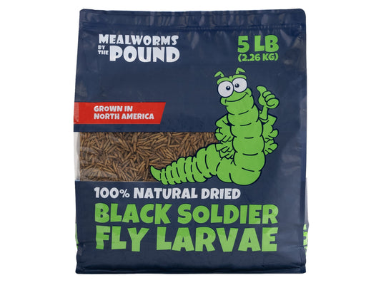 North American Dried Black Soldier Fly Larvae - 5 LB