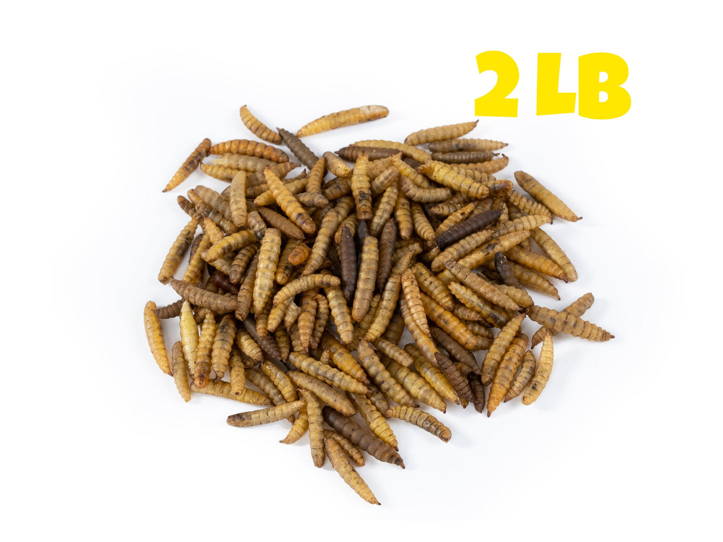 Dried Black Soldier Fly Larvae - 2 LB