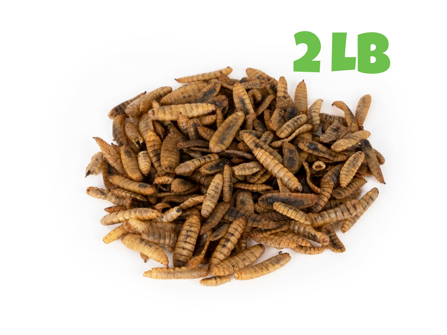North American Dried Black Soldier Fly Larvae - 2 LB