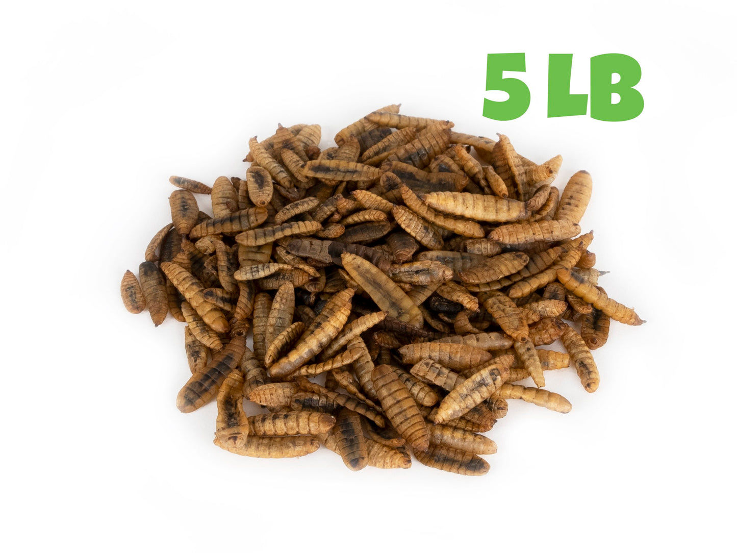 North American Dried Black Soldier Fly Larvae - 5 LB