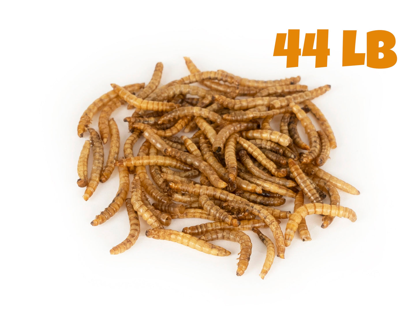 Dried Mealworms - 44 LB