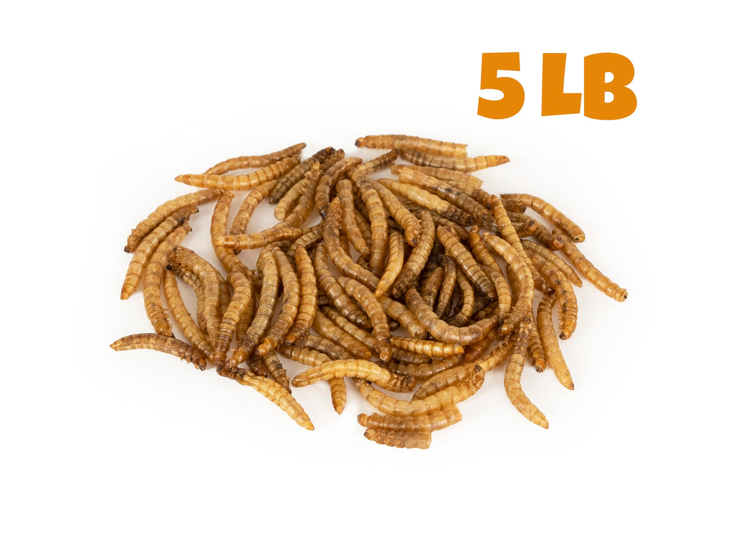 Dried Mealworms - 5 LB