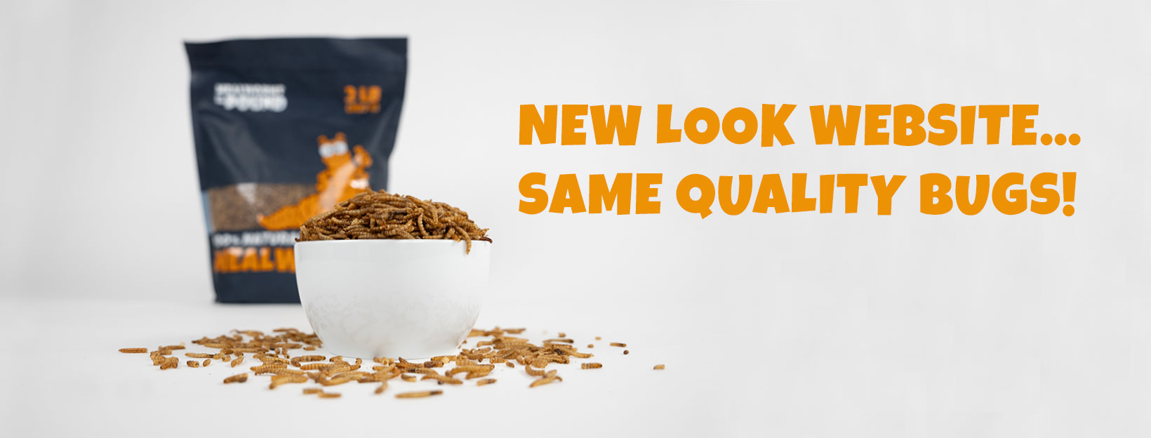 Mealworms by the Pound