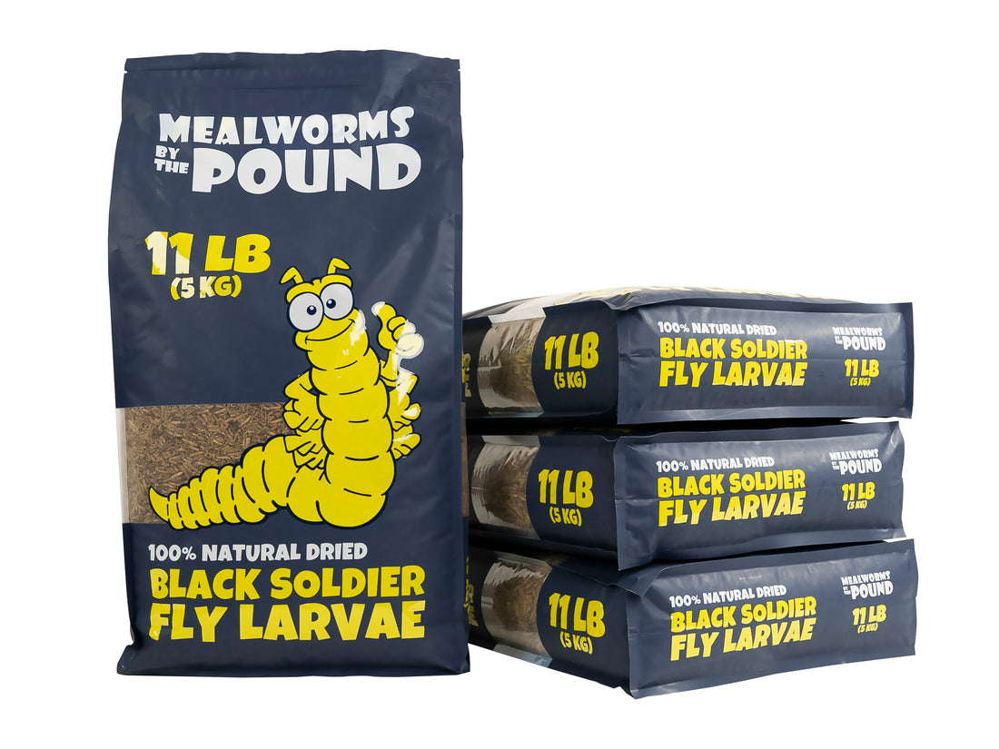 Dried Black Soldier Fly Larvae 44 LB Mealworms by the Pound