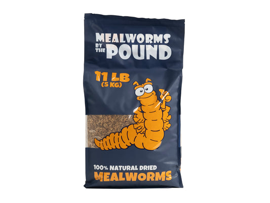 Dried Mealworms - 11 LB