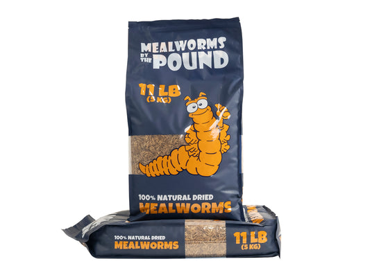 Dried Mealworms - 22 LB
