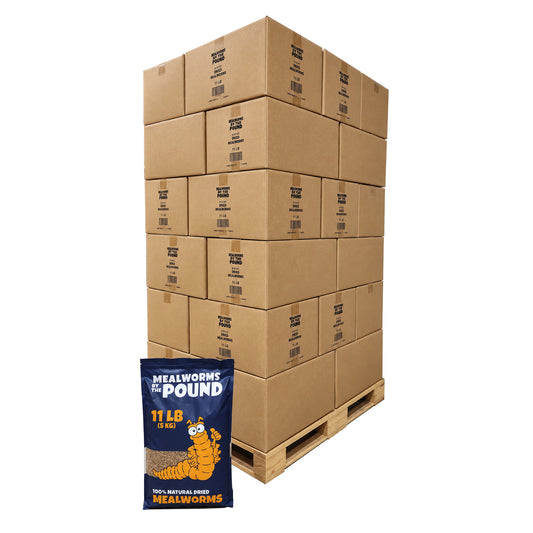 Dried Mealworms - 770 lb Pallet