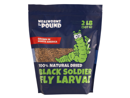 North American Dried Black Soldier Fly Larvae - 2 LB