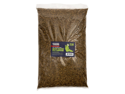 North American Dried Black Soldier Fly Larvae - 11 LB