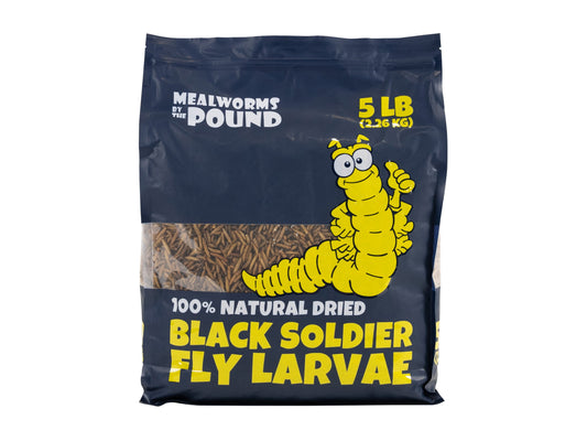 Dried Black Soldier Fly Larvae - 5 LB