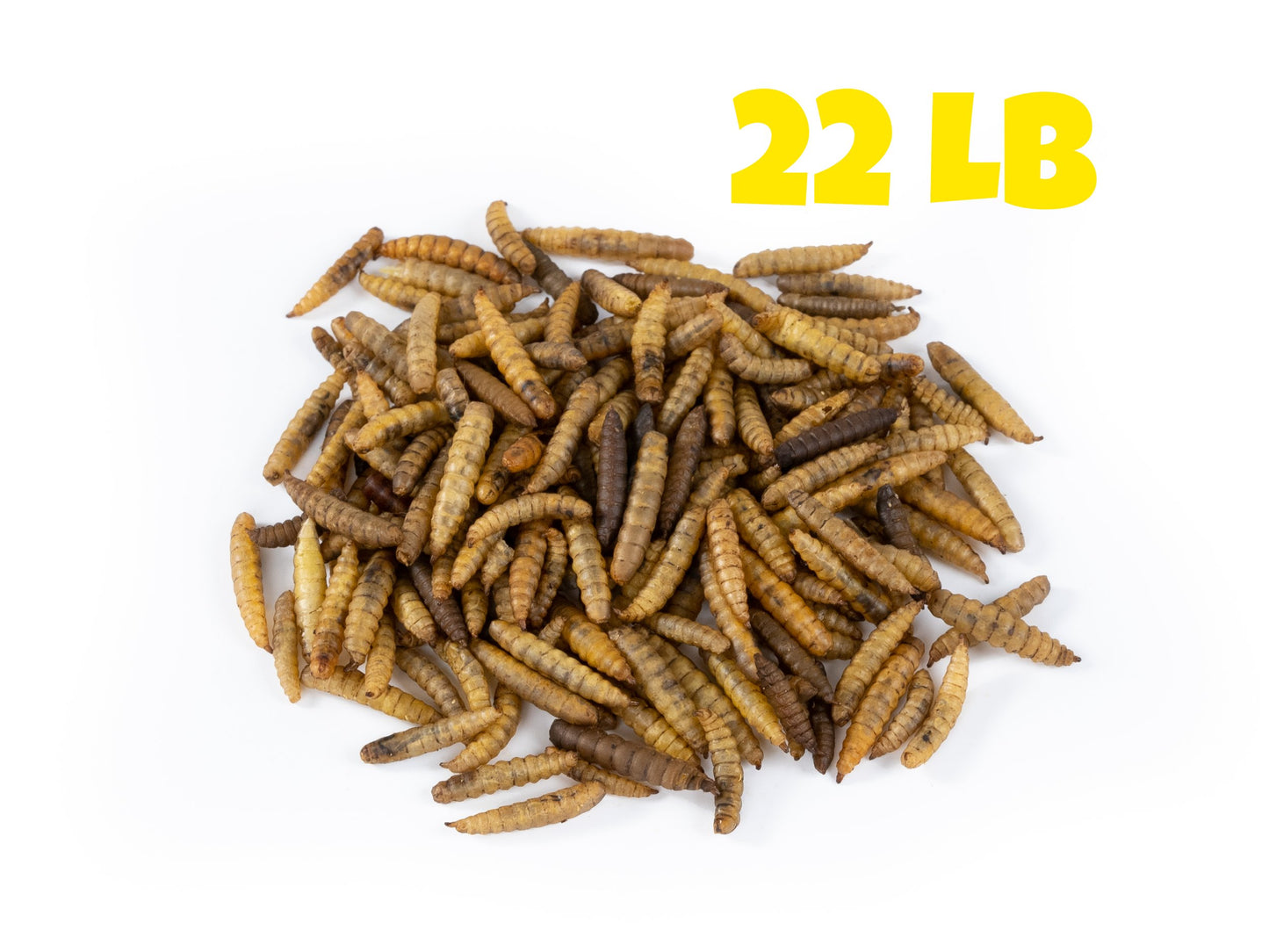 Dried Black Soldier Fly Larvae - 22 LB