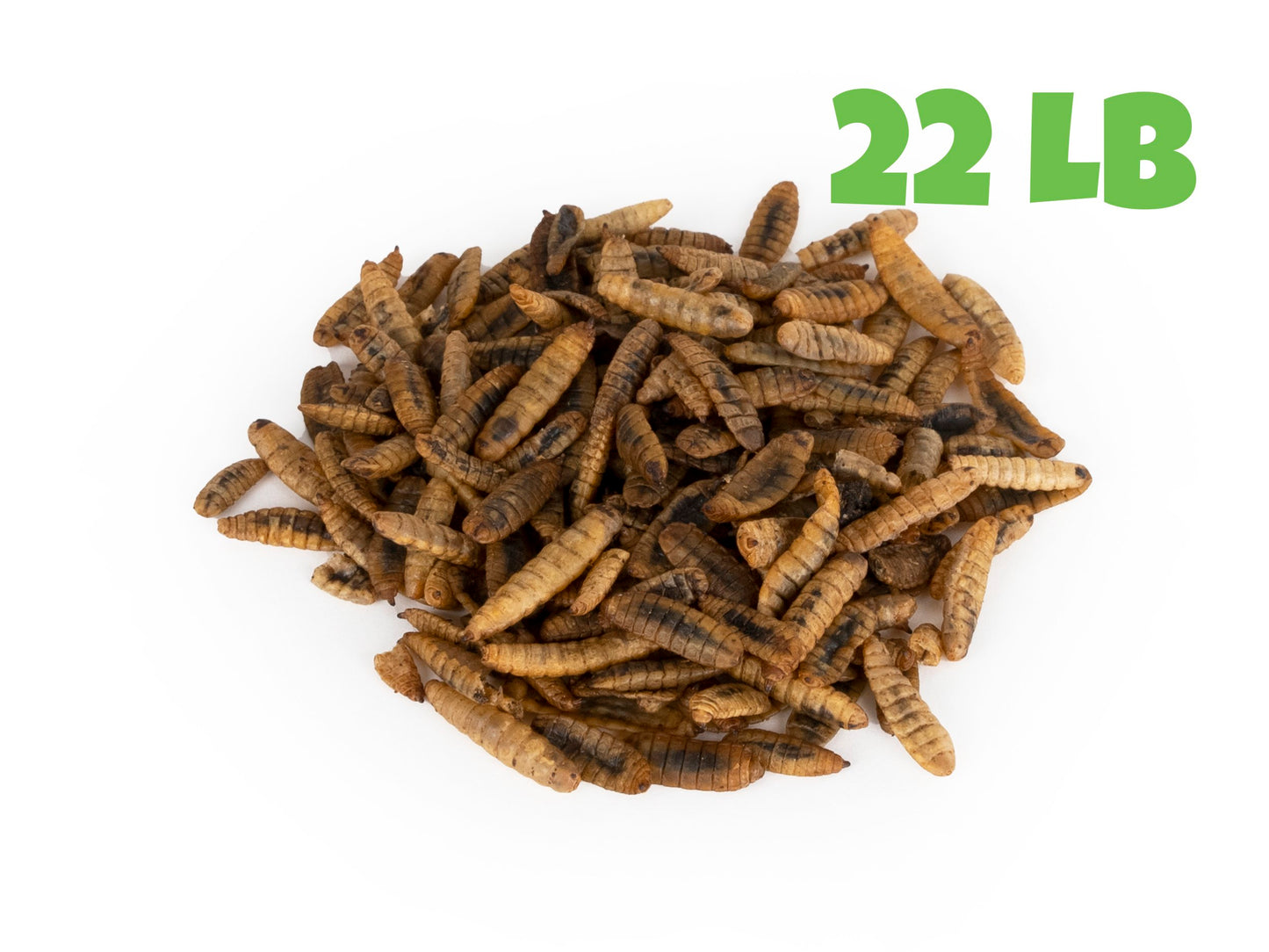 North American Dried Black Soldier Fly Larvae - 22 LB