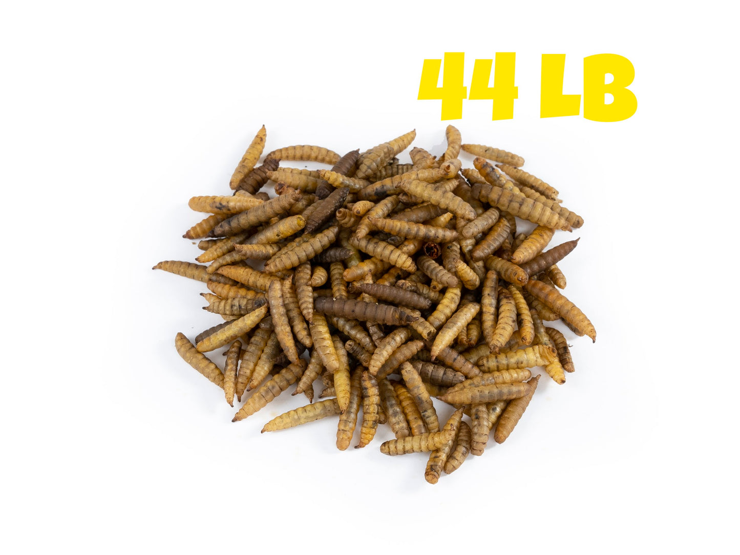 Dried Black Soldier Fly Larvae - 44 LB