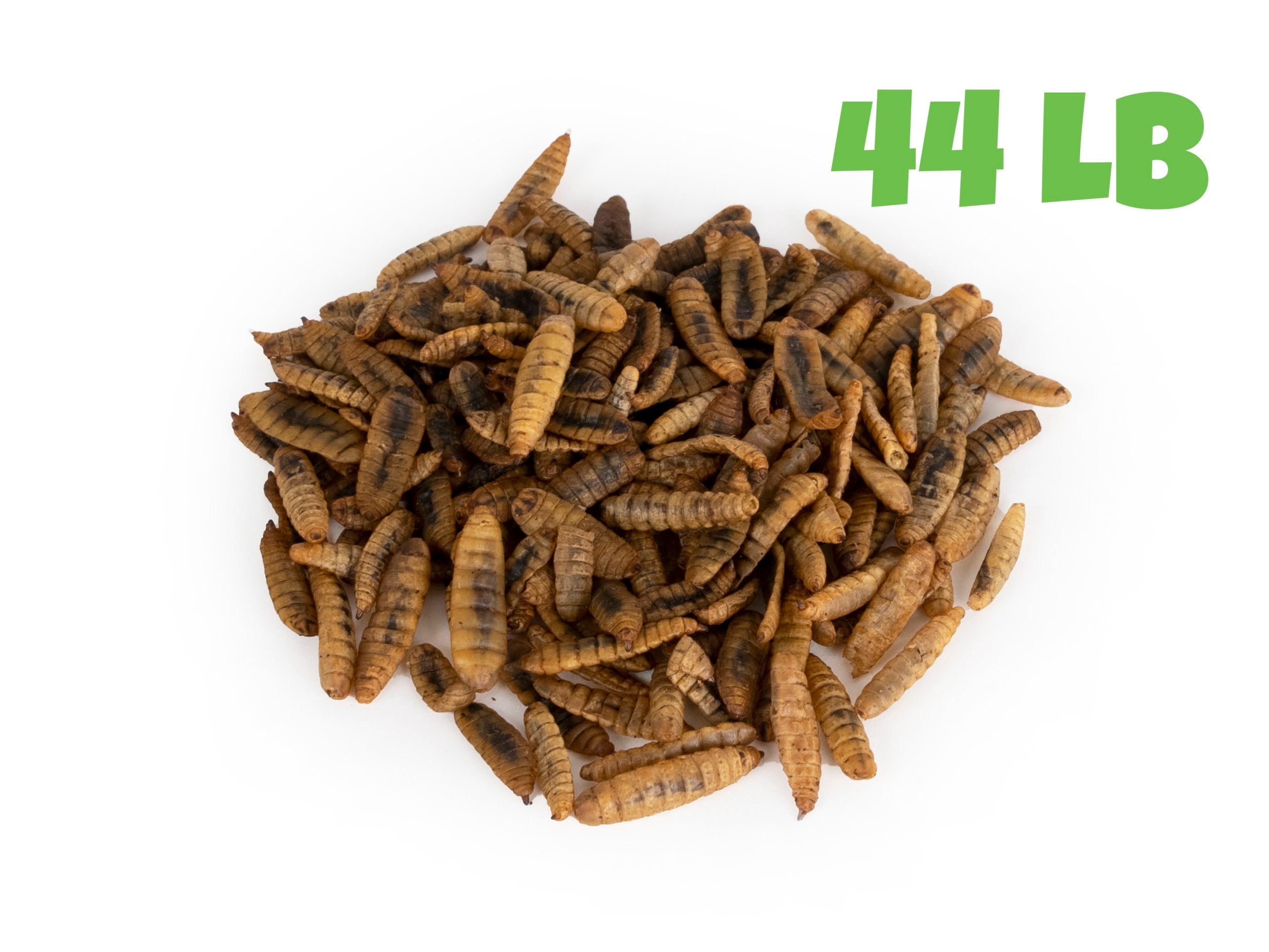 Amzey Dried Black Soldier Fly Larvae - 11 LB Bulk High Calcium Treat For Chickens & Reptiles