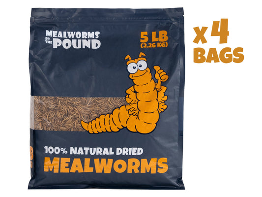 Dried Mealworms - 20 LB