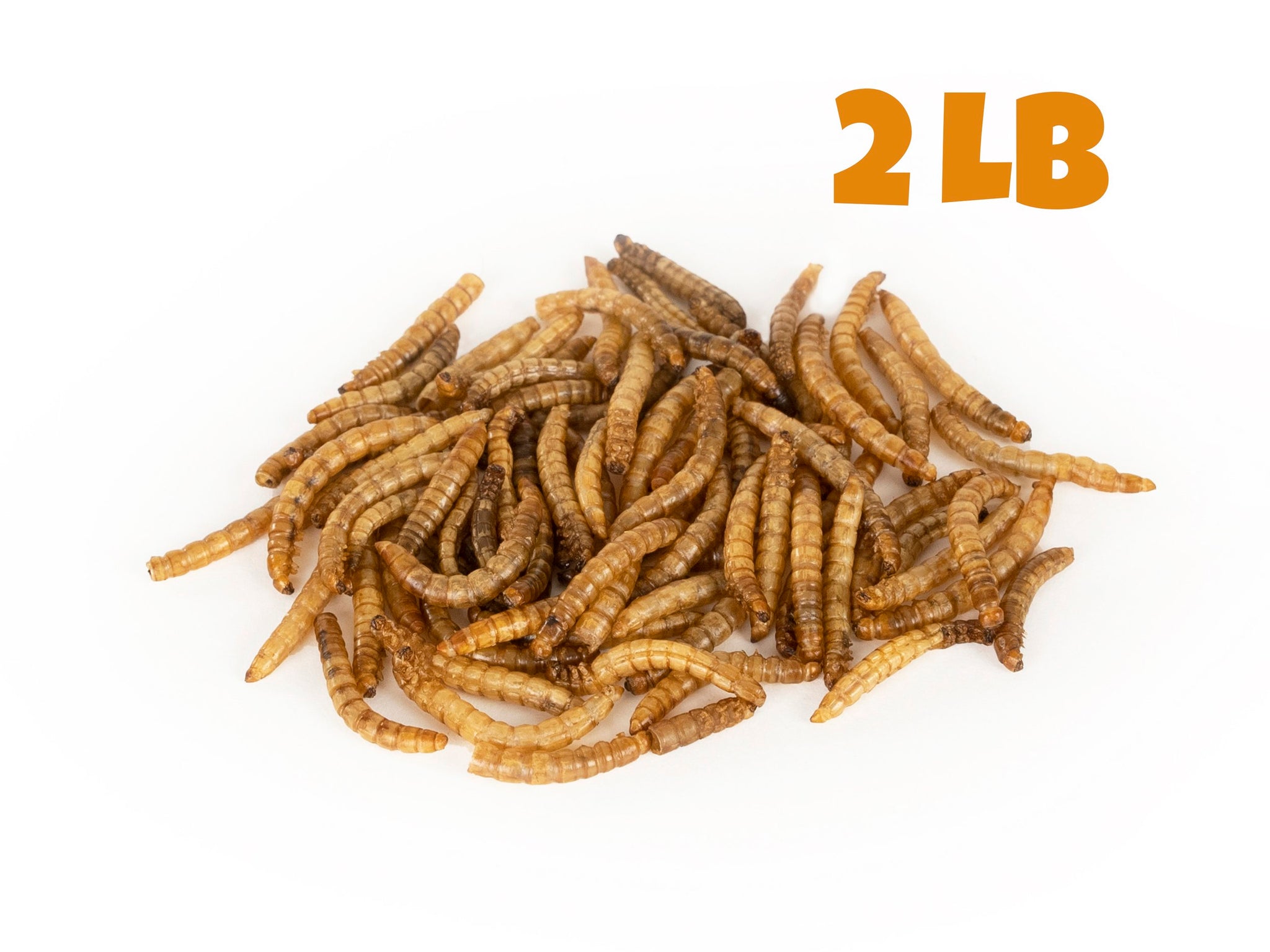 Dried Mealworms 2 LB Mealworms by the Pound