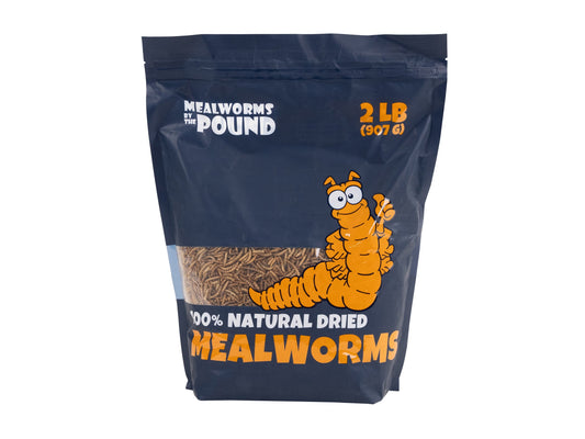 Dried Mealworms - 2 LB