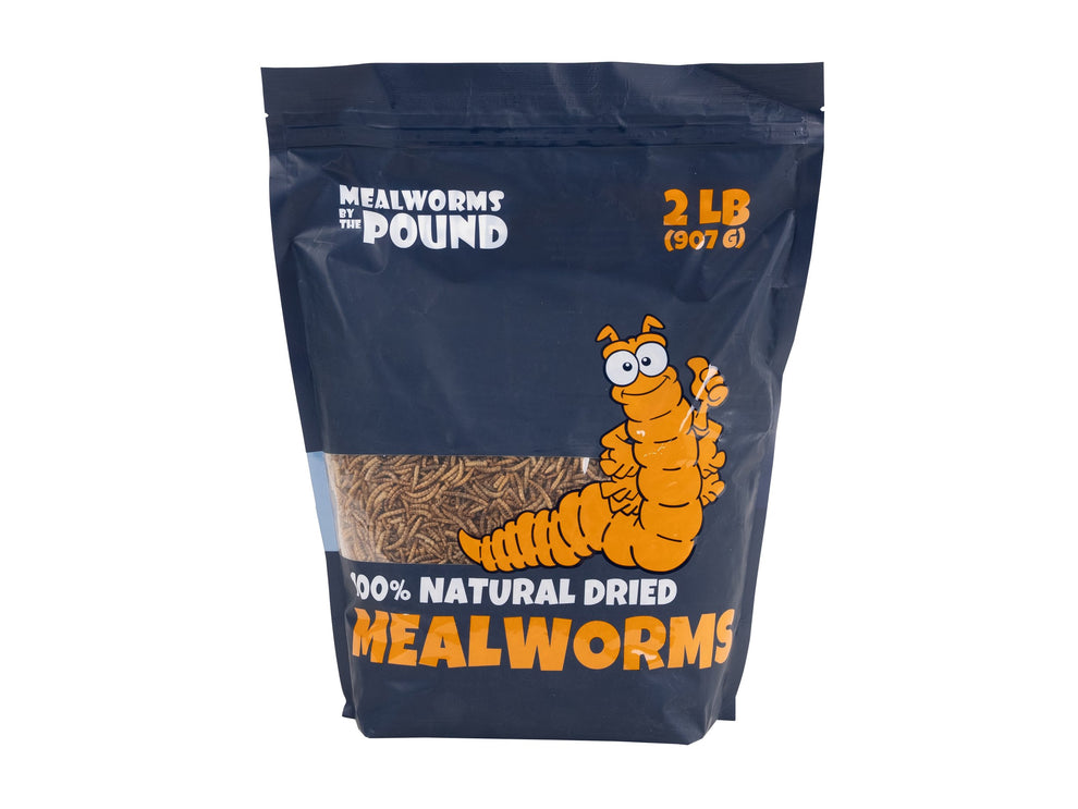 Dried Mealworms 2 LB Mealworms by the Pound